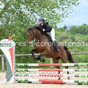 DSC_7585