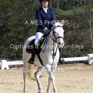 DSC_5260