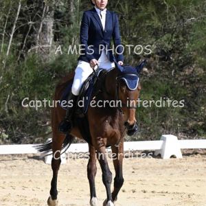 DSC_5303