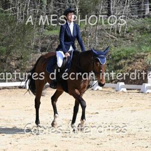 DSC_5305