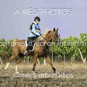 DSC_7288