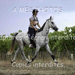 DSC_7296