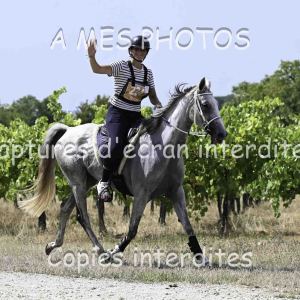 DSC_7733