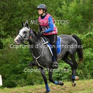 DSC_8495