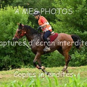 DSC_8643