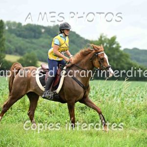 DSC_8783