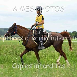 DSC_9171