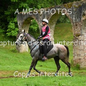 DSC_0191