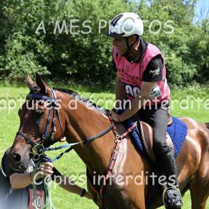 DSC_2645