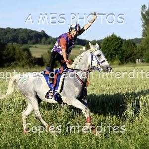 DSC_4189