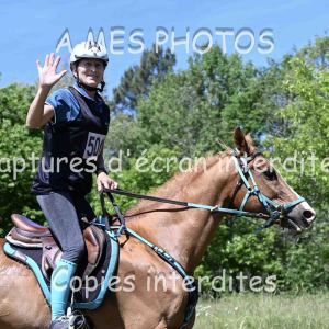 DSC_0605