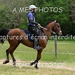 DSC_7790