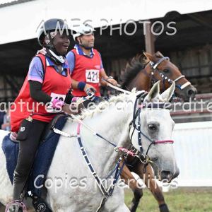 DSC_6100
