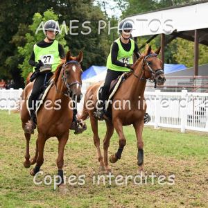 DSC_6307