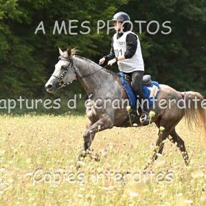 DSC_5771