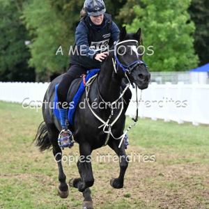 DSC_5915
