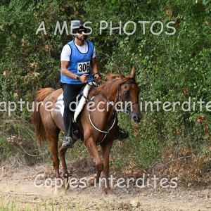 DSC_7978
