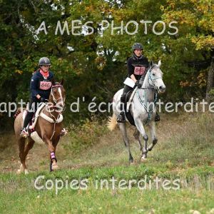 DSC_0011