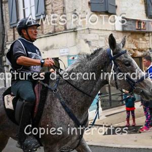 DSC_1410