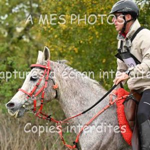 DSC_0896