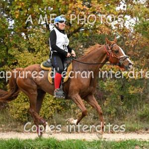 DSC_0217