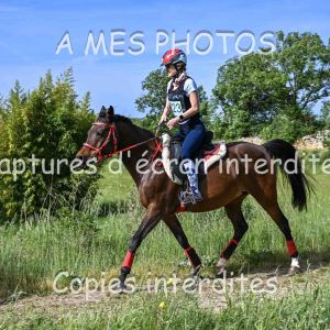DSC_8708