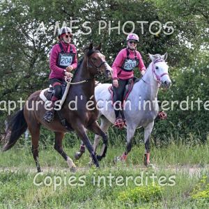 DSC_8754