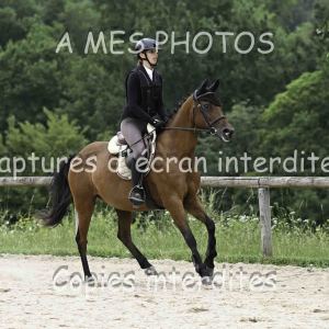 DSC_6233