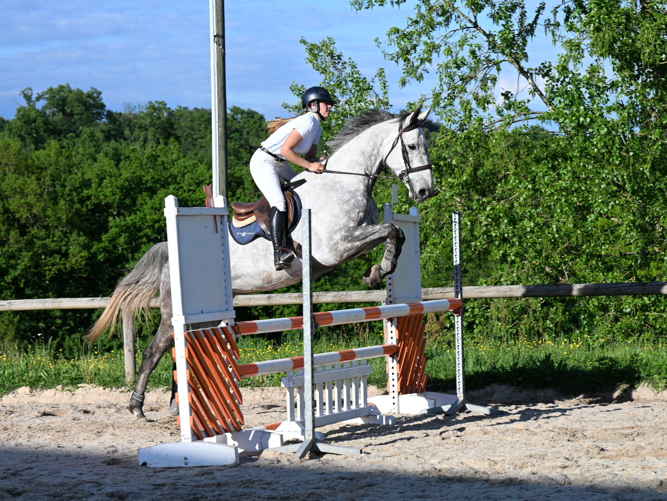 Cavalier en course