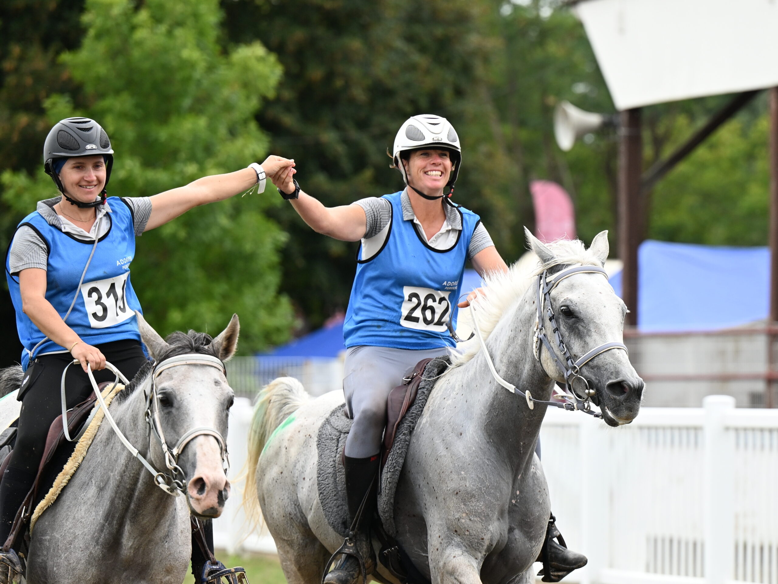 Concours Hippique Action
